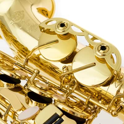Selmer Alto Sax - Serie II in Gold Lacquer w/Engr image 13