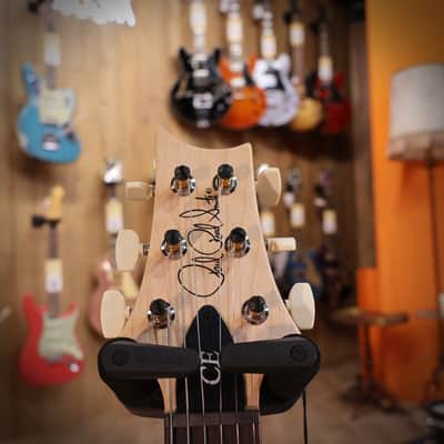 Immagine PRS CE24 Faded Gray Black - 13