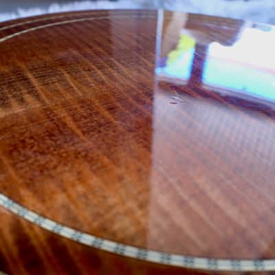 Hohner Artist LE - 5 String Resonator Archtop Banjo 1970s - natural image 15