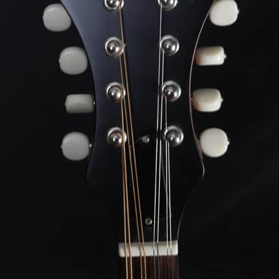 The Loar LM-590-MS  All Solid F-Style Mandolin NEW! FREE SHIPPING! w/ Gigbag image 16