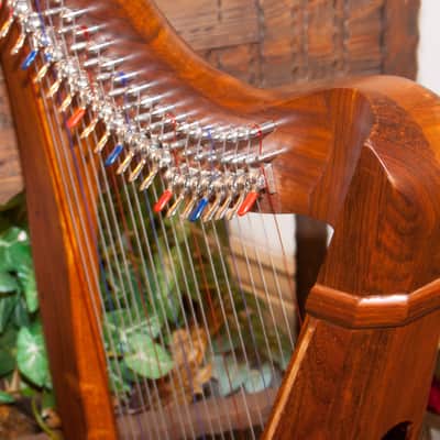 Roosebeck 22-String 5-Panel Heather Harp w/ Chelby Levers image 4