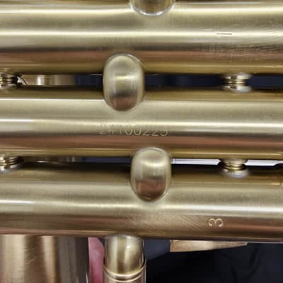Austin Custom Brass Doubler's Flugelhorn - 2026 w/ case image 5