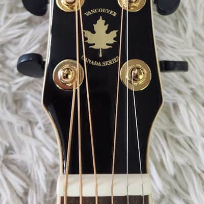 Tagima Canada Series Vancouver acoustic-electric guitar with hardshell case image 5