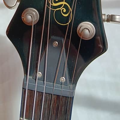 Dean Leslie West 2008 - Brazilia Burst image 13