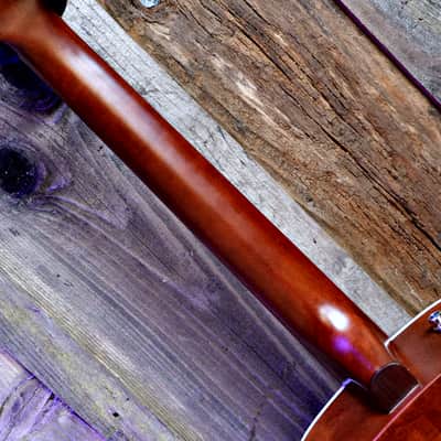 Seagull Entourage Dreadnought - Autumn Burst image 16