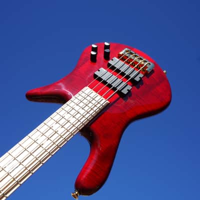 Spector Euro 5 LX Maple Fingerboard – Black Cherry Gloss 5-String Electric Bass Guitar image 1