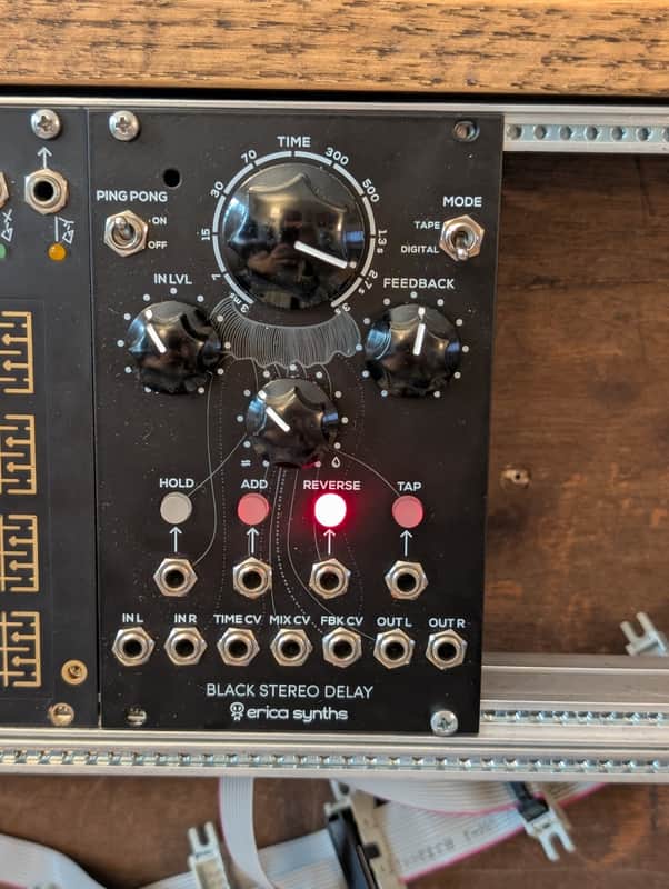 Erica Synths Black Stereo Delay