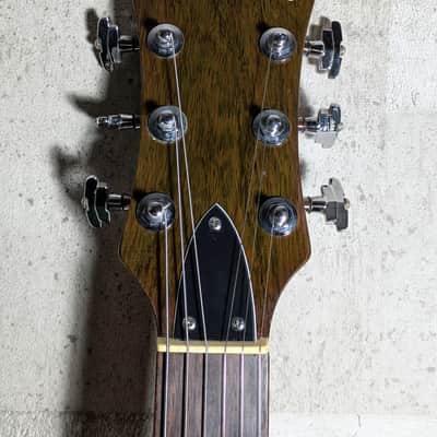 B.C. Rico Eagle 80's B.C. Rich Pre N.J. Series Neck Thru Original Hard Case image 10