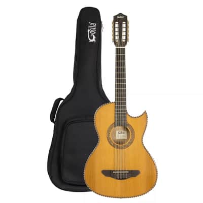 10-String Electric Acoustic Bajo Quinto – Solid Cedar Top with Sapele Back & Sides image 1