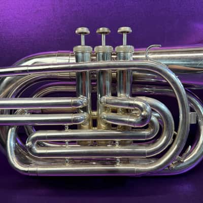 Immagine Blessing  M-300 - Silver - 2