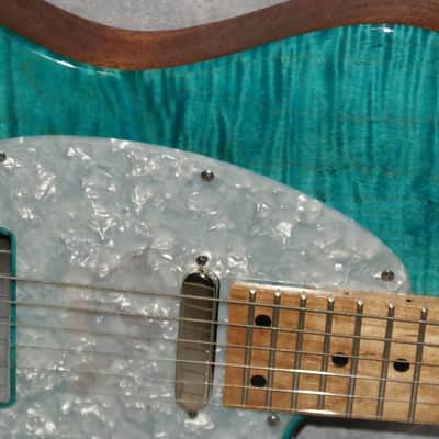 VZ Custom Guitars 24-Fret T-Style w/new tweed case image 2