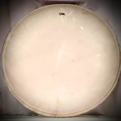 Litik 24" Natural skin bass drum head new! image 2