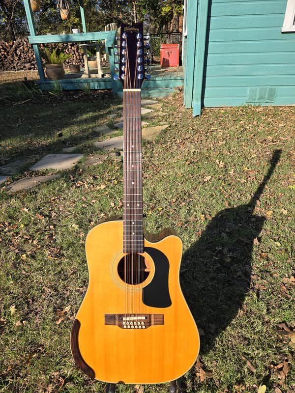 Washburn 12-string mid 90's - Rosewood & Spruce image 1