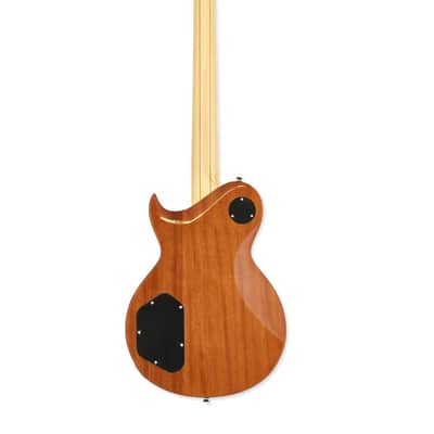 Aria Pro II PE-480-SEBL Electric Guitar See Thru Emerald Blue image 4