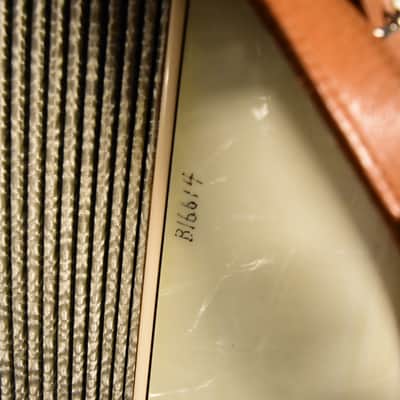 La Tosca Princess White Pearl 3/4 Sets Reeds image 15