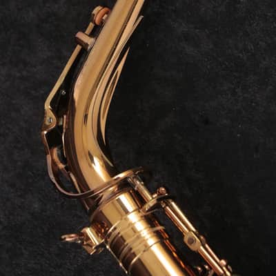 Cannonball Cannonball Alto AV-PC-L Pete Christlieb Model Alto Saxophone [V1508030] [11/12] image 15