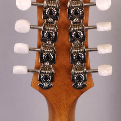 Eastman PCH-M104 Mandolin: Solid Sitka Spruce Top, Laminate Mahogany back and sides 2026 image 14