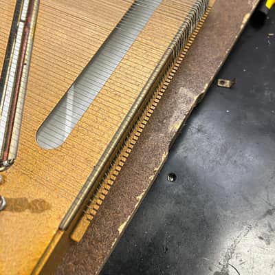 Hohner Clavinet L image 9