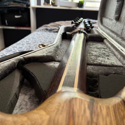 One of a kind 2018 RLG Red Layer Guitars Custom made in Amsterdam Multi-scale 27.7”-29.4” Juggernaut Baritone 8 string graphtech ghost Piezo saddles/preamp Lundgren M8 Alex Grey Inspired Inlay Hiscox Tool Djent Meshuggah image 8