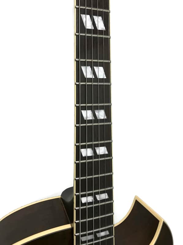 Epiphone ES-295 Premium Limited Edition Hollowbody Electric Guitar