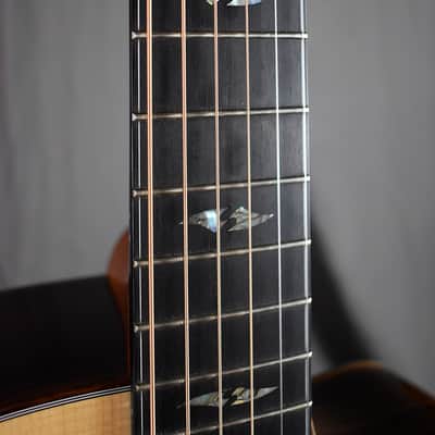 2010 Breedlove Special Edition Focus D image 16