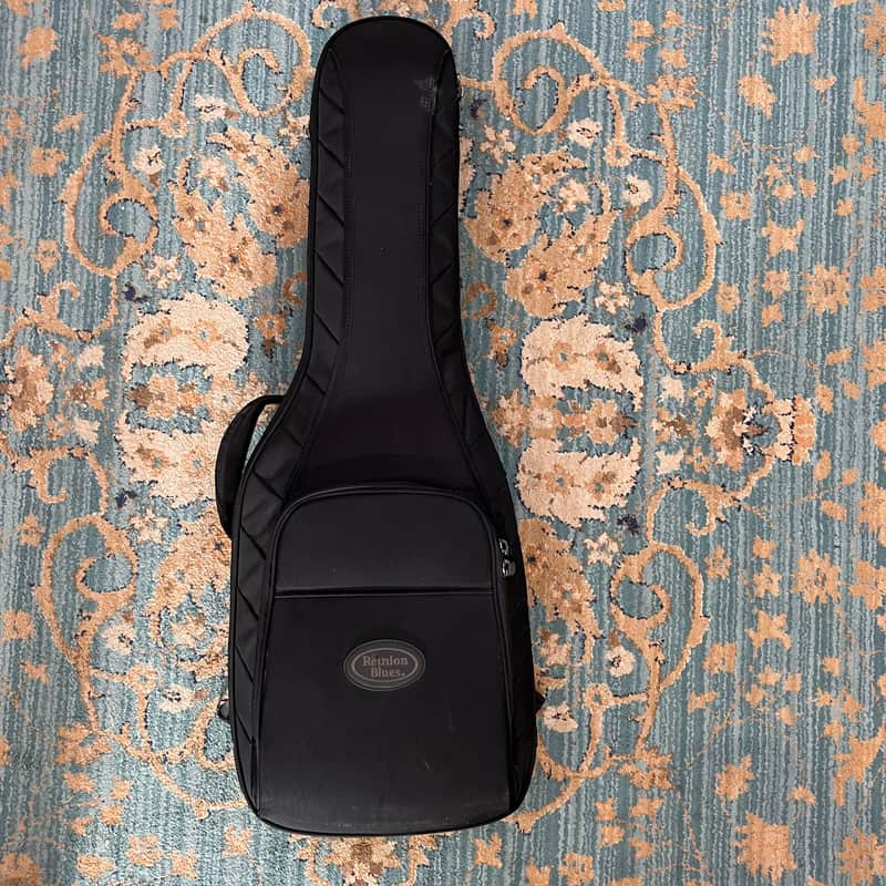 Reunion Blues RBX Electric Guitar Gig Bag 2010s - Black image 1