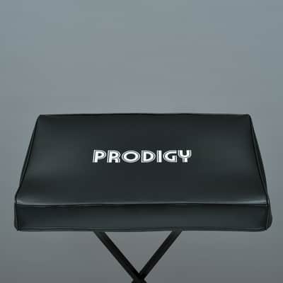 Moog PRODIGY cover