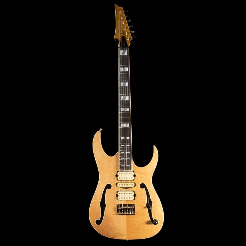 Ibanez PGM10TH 10th Anniversary Paul Gilbert Signature image 1