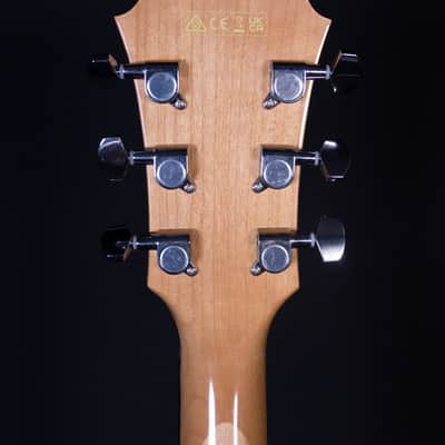 Ibanez AE170 Acoustic Electric, Natural image 10