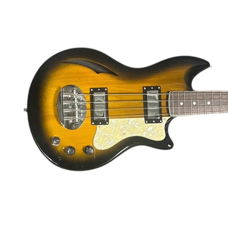 Lakland Skyline HB-30 Short Scale Hollow Body, Sunburst / Pau Ferro 7.5 LBS *On Order ETA Sept. 2026 image 1