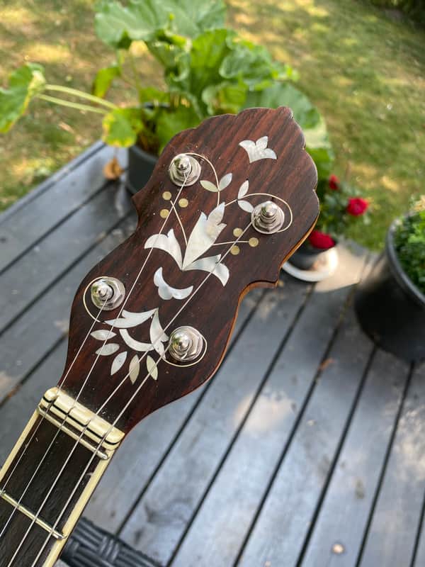 Tenor banjo image 1