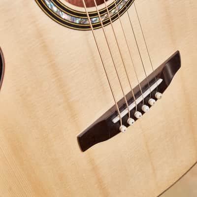 Linda Manzer Fanfret Baritone Acoustic image 20
