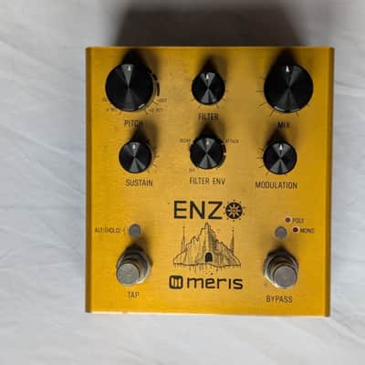Meris Enzo 2018 Gold image 2