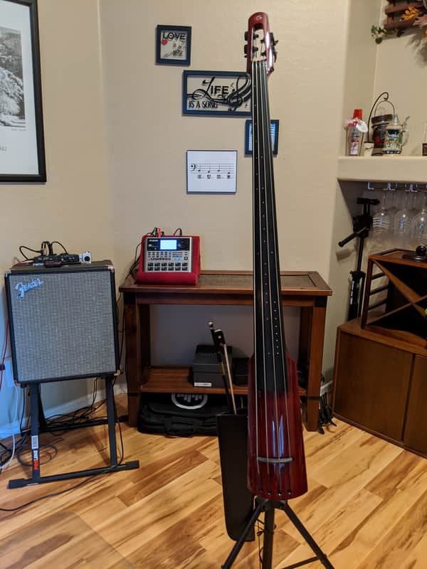 NS Design WAV4c Electric Upright Bass  Transparent Red image 1