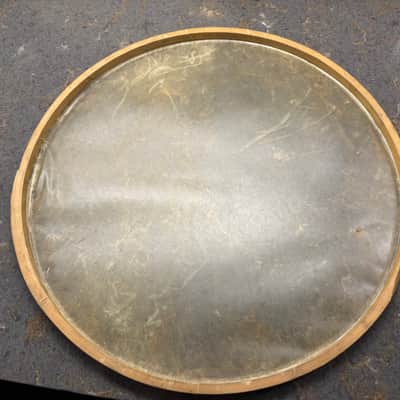 14 “ WFL Calf skin snare drum heads-1950s ? Batter & snare image 6