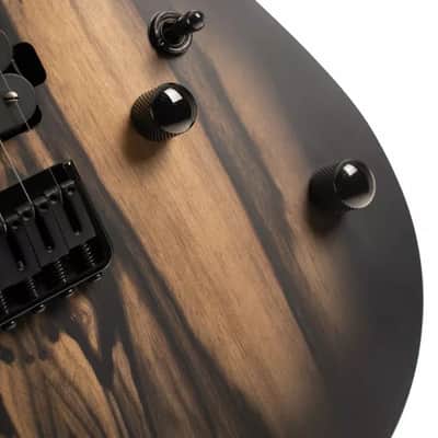 Cort KX500-NBB KX Series Pale Moon Ebony Top Roasted Maple & Walnut, 5-Ply Laminated Neck 6-String Electric Guitar image 10