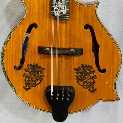 Mandolin Handmade by Blueberry, 8 String Wood Celtic Motif Mandolin,Custom Handcrafted Wooden,Steel String, Beautiful Sound, Hard Case Incl. image 20