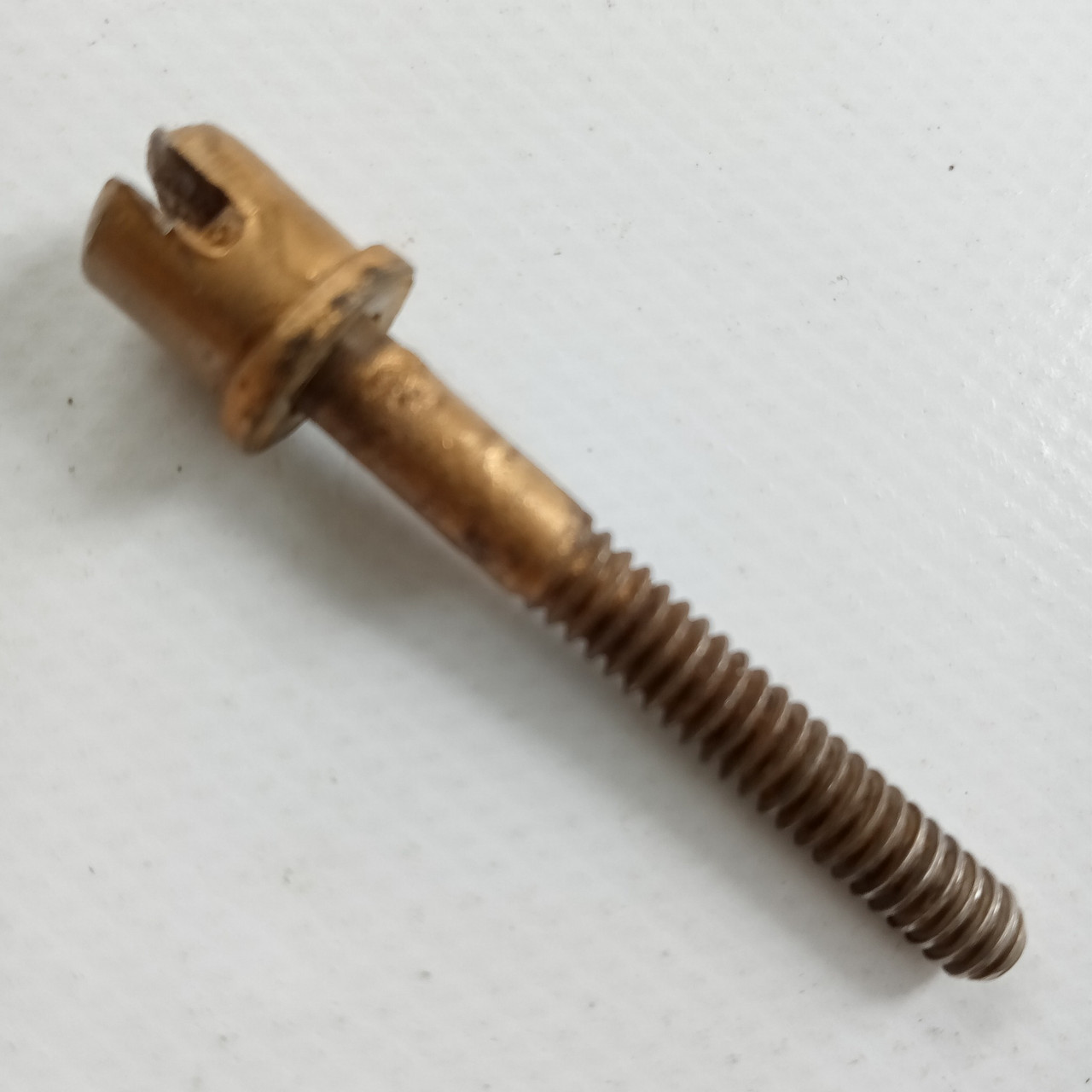 Leedy 1.5"Thin 10-24 Slotted Circle-Head T-Rod Tom/Snare Drum Tension Gold Paint — main photograph