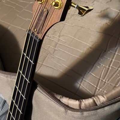 Taylor AB-2 2002 Imbuia (Brazilian Walnut) top, back and sides image 5