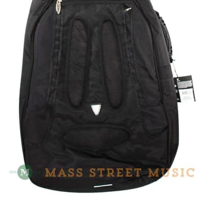Ritter Cases - Acoustic Guitar Gigbag image 4