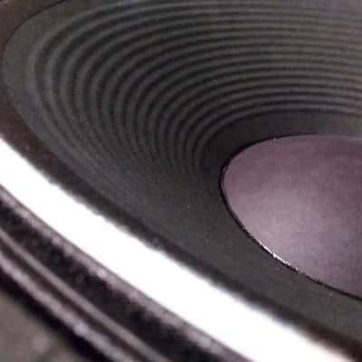 18" WOOFER AMPEG SWR EDEN BASS HORN SUBWOOFER REPLACEMENT SPEAKER EAW TURBO SOUND PINSTRIPE image 4