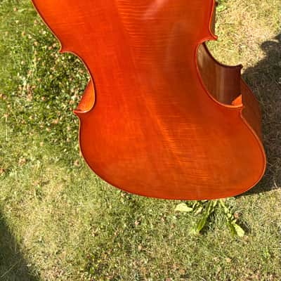 Westbury Eastman cello 4/4 - Hand varnish image 10