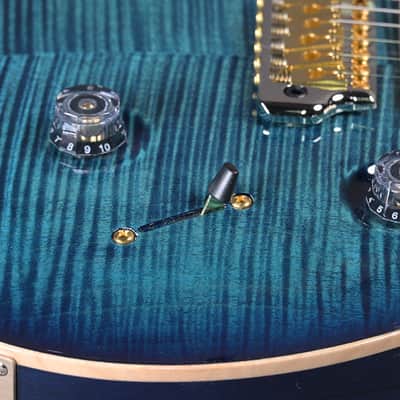 PRS Custom 24 Wood Library Y2 SA Back ZI/FB Cobalt Blue image 10