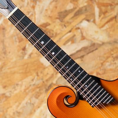 Collings MF5 2012 image 6