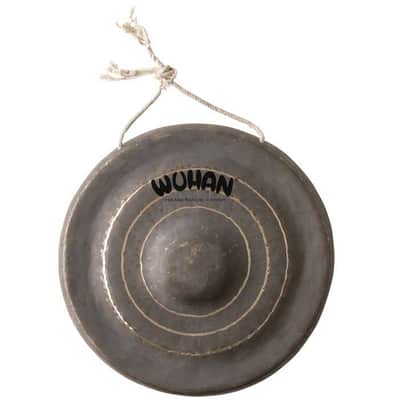 Immagine Wuhan Bao Gong 10" - 3