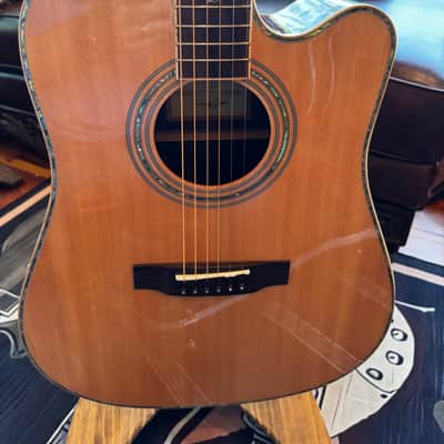 Zager ZAD-900CE  - Natural with Fishman Aura Pro Pickup image 11