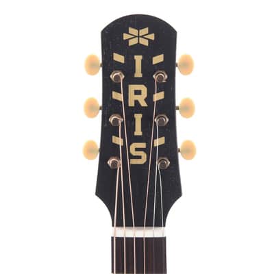 Iris Limited Edition DF Dreadnought Black Hand Painted by Sarah Ryan (Serial #712) image 6