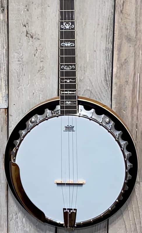 2021 Washburn B-10A Resonator Banjo image 1