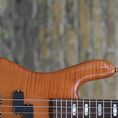 Spector Doug Wimbish Euro 4 Signature Model - Amber Stain Gloss image 4