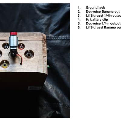 Ciat-Lonbarde DogeVox image 6